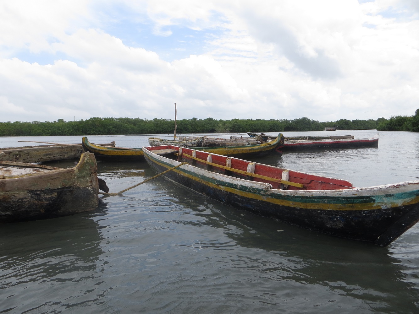Mein Schiff Ausflug: Kanufahrt in Mangrovenwäldern von Kolumbien 