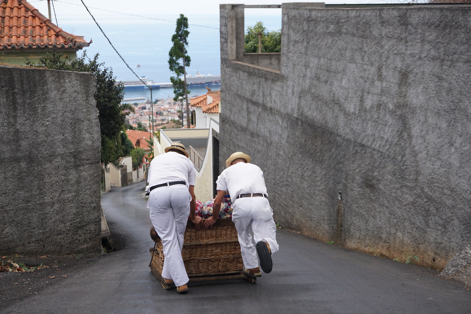 Mein Schiff Ausflug: Korbschlittenfahrt auf Madeira