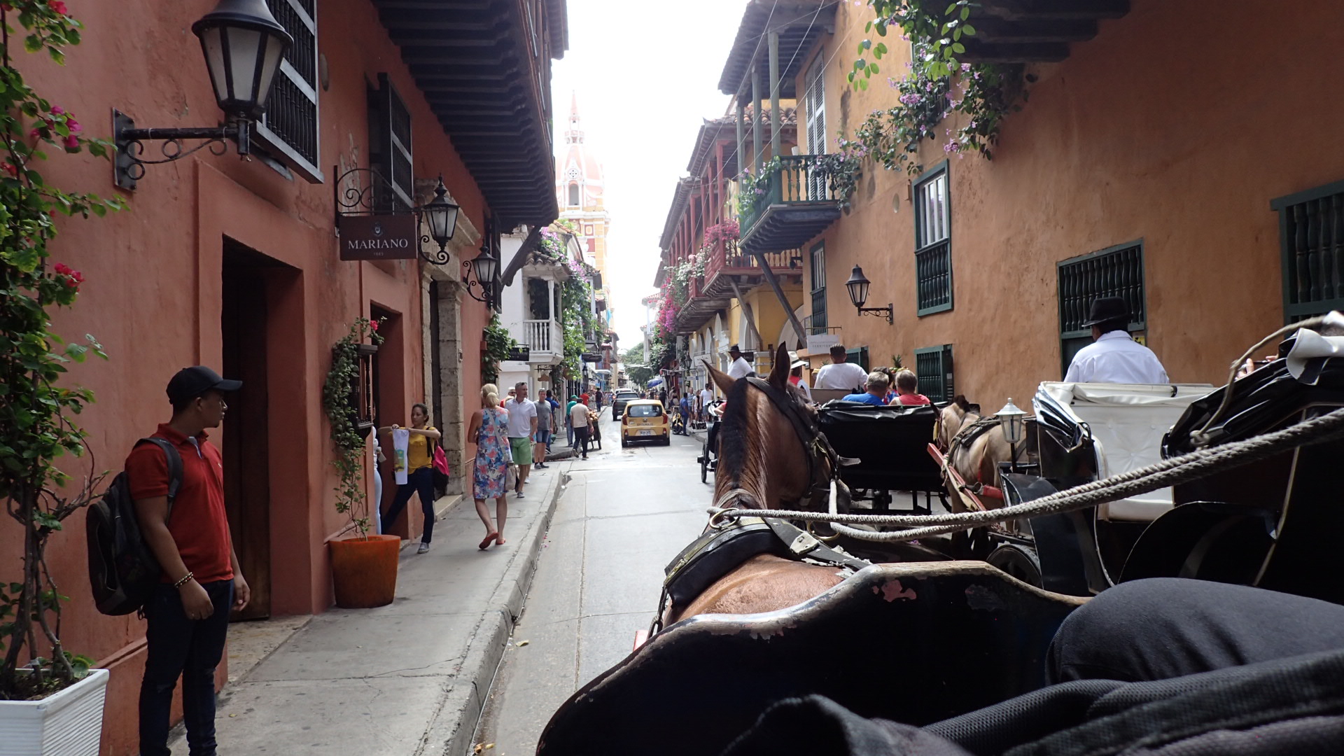 Mein Schiff Erlebnis: Pferdekutschen fahrt in Cartagena