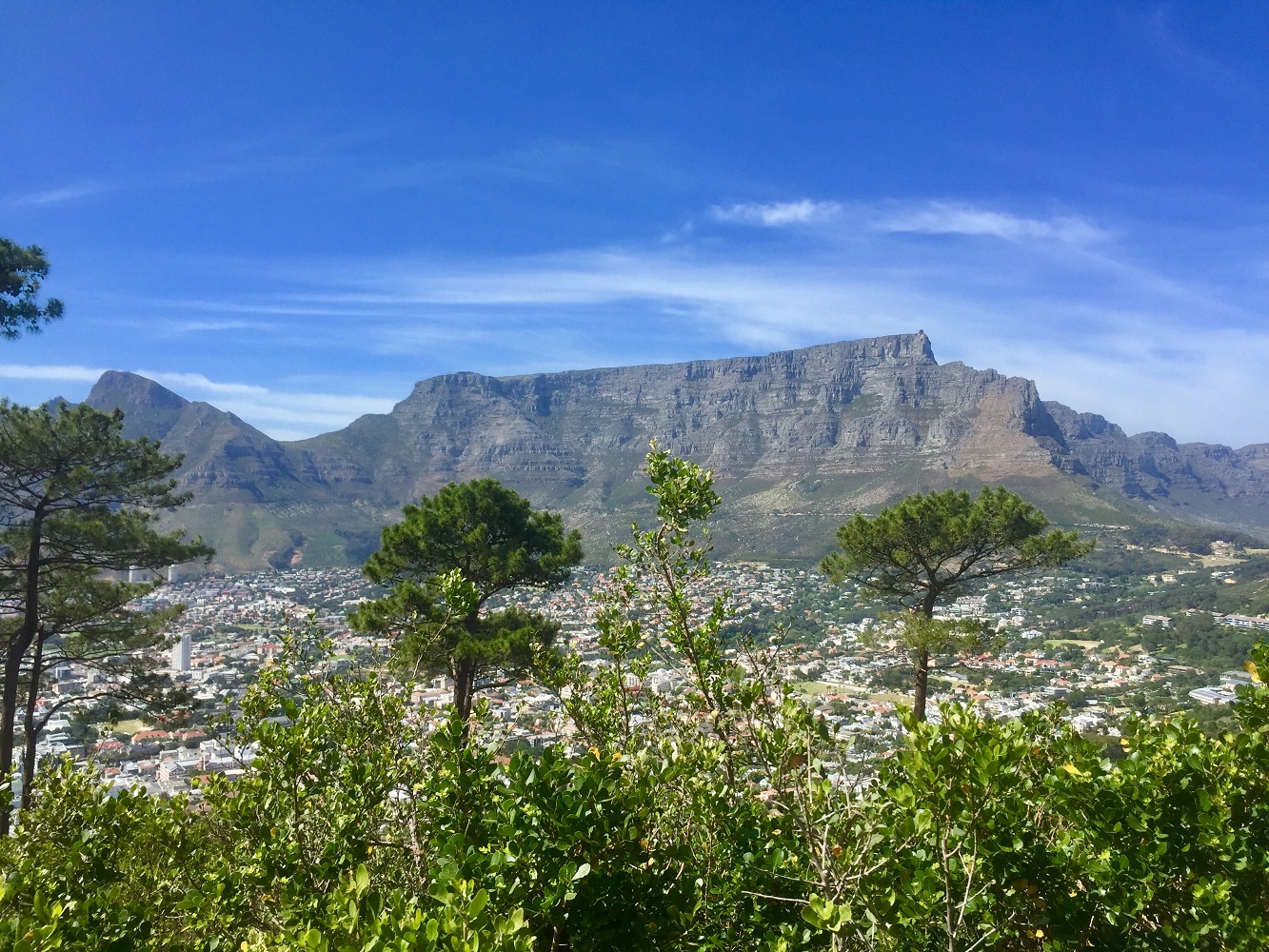 Mein Schiff Ausflug: Ausblick vom Singal Hill auf den Tafelberg